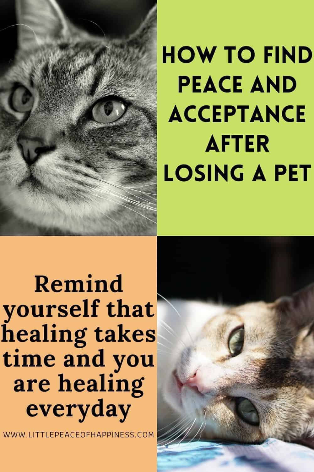 finding peace after pet loss