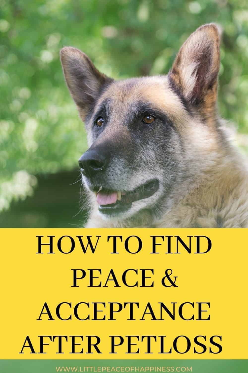 how to find peace and acceptance after pet loss