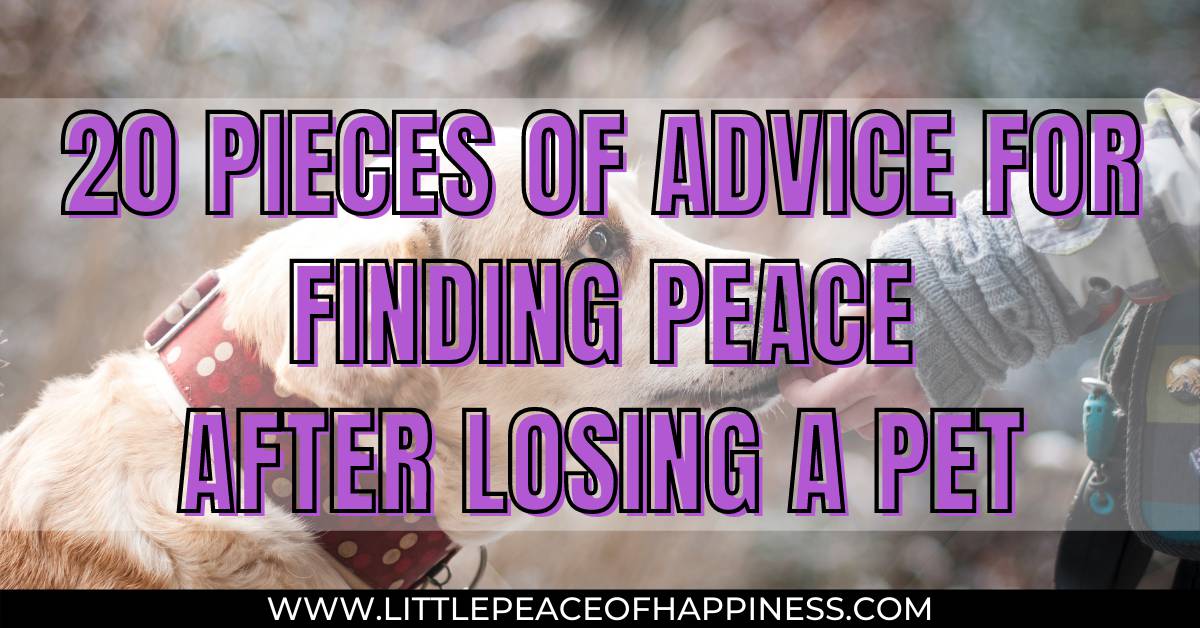 How to find peace after petloss
