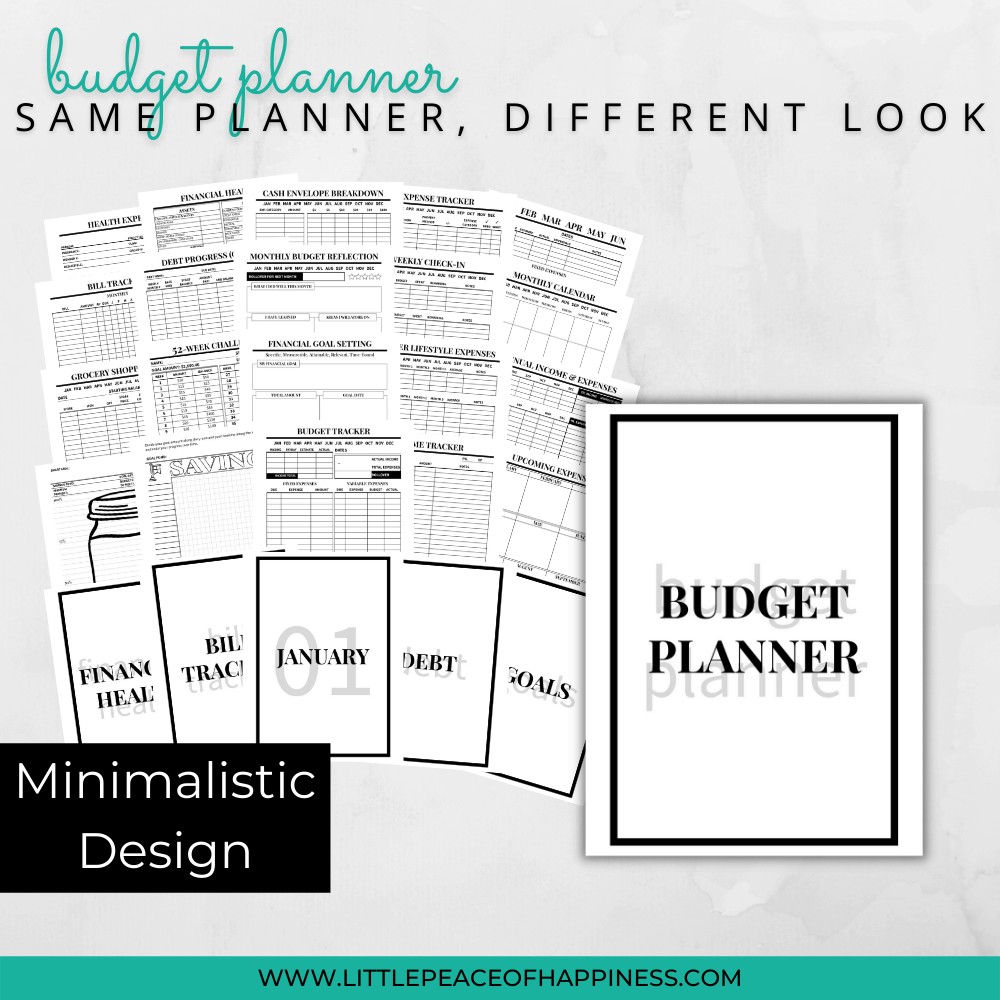 Monthly Budget Planner Printable & Fillable PDF, Budget Tracker Template,  Finance Overview, A4/a5/letter/half, Instant Download 