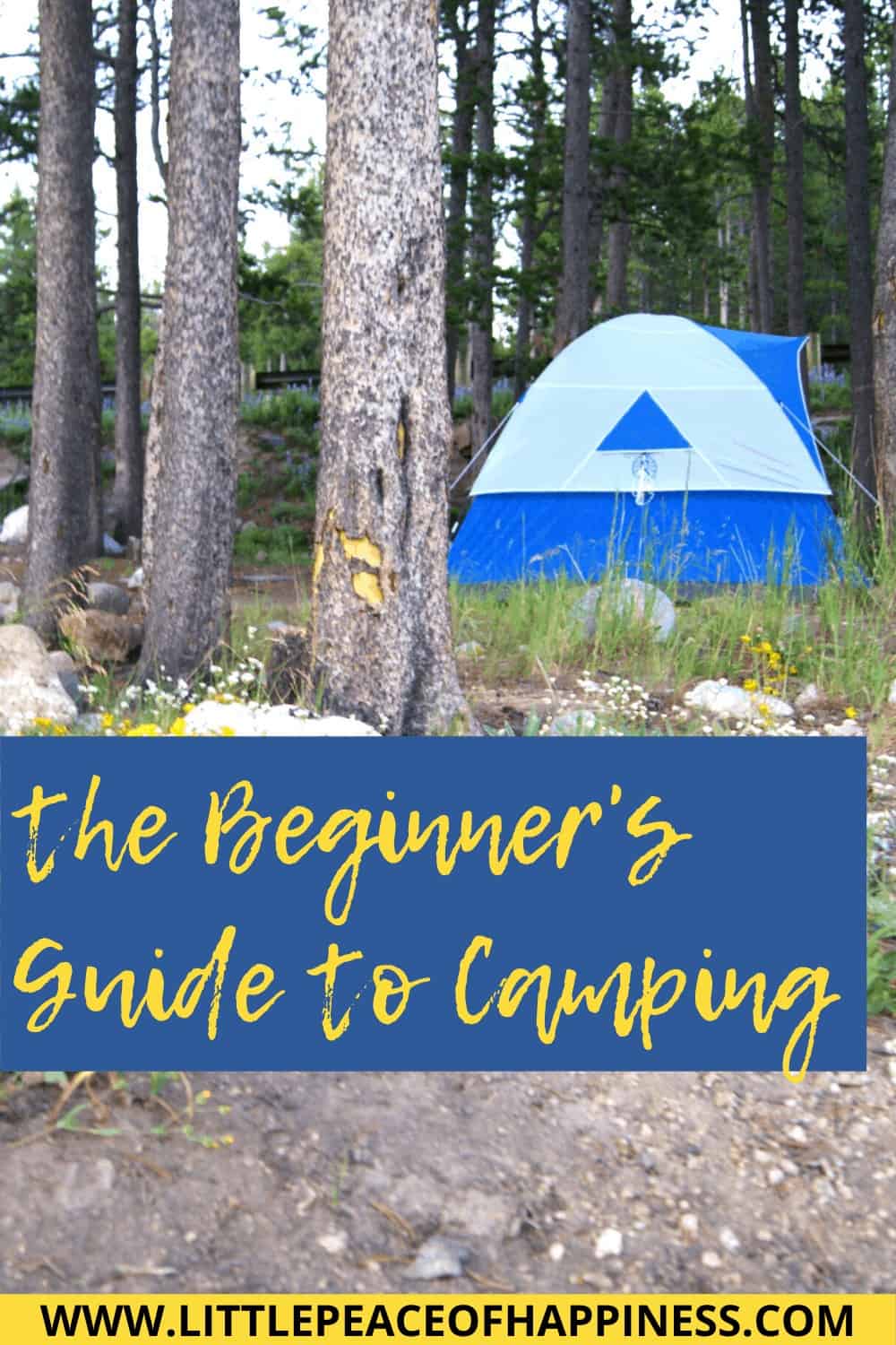 Beginner's guide to camping