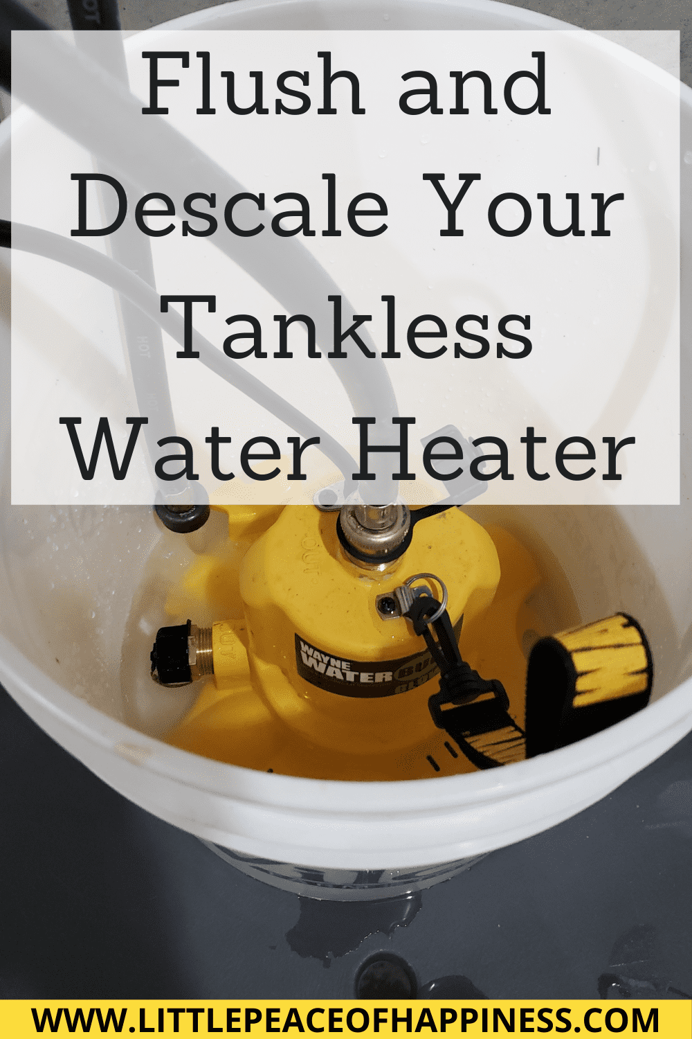 How to Tankless Water Heater Descale Maintenance Flush